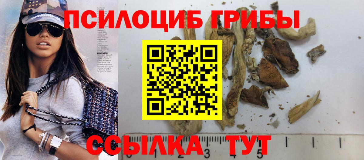 купить наркотики цена  Галлюциногенные грибы GOLDEN TEACHER  Вход с VPN  Дубна  Галлюциногенные грибы MAGIC MUSHROOMS 