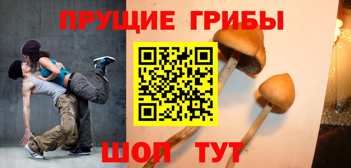 Псилоцибиновые грибы мухоморы Дубна