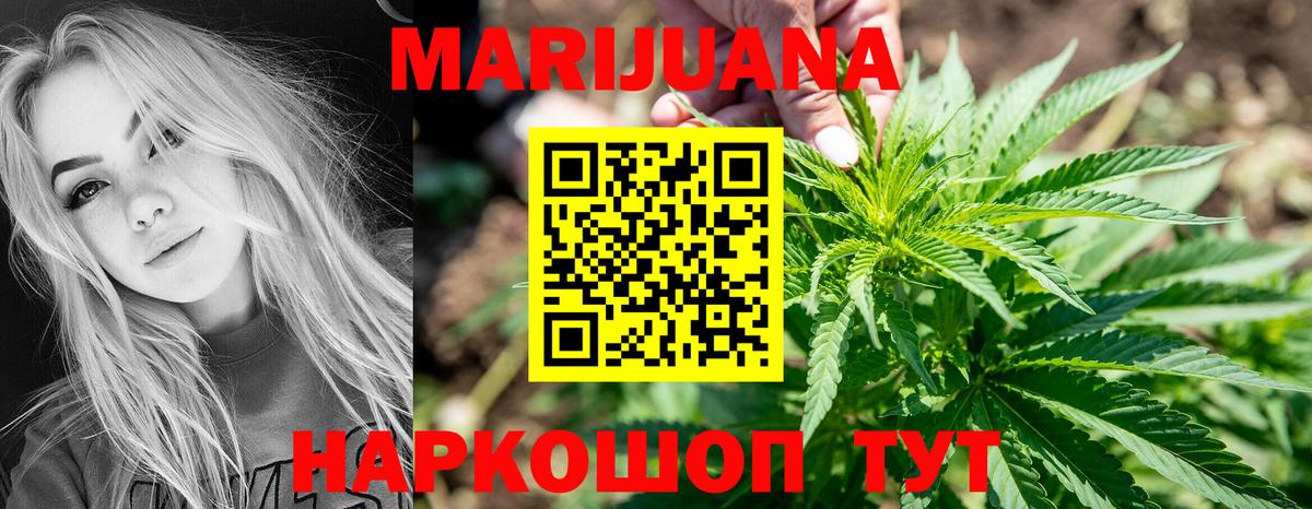 Канабис конопля Дубна